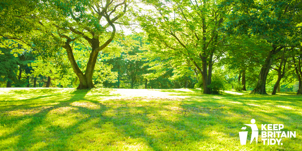 Park Park