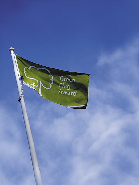 An image of a Green Flag
