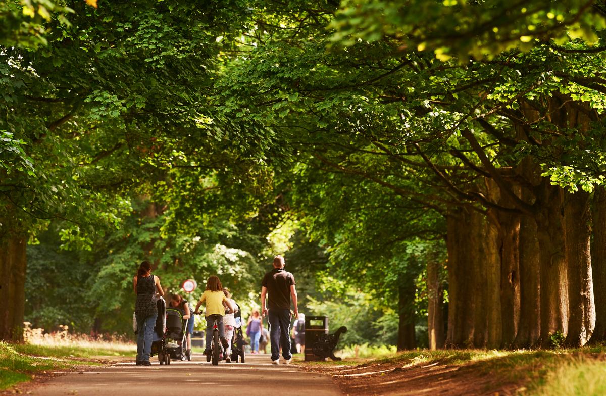 Cassiobury Park, Watford Borough Council