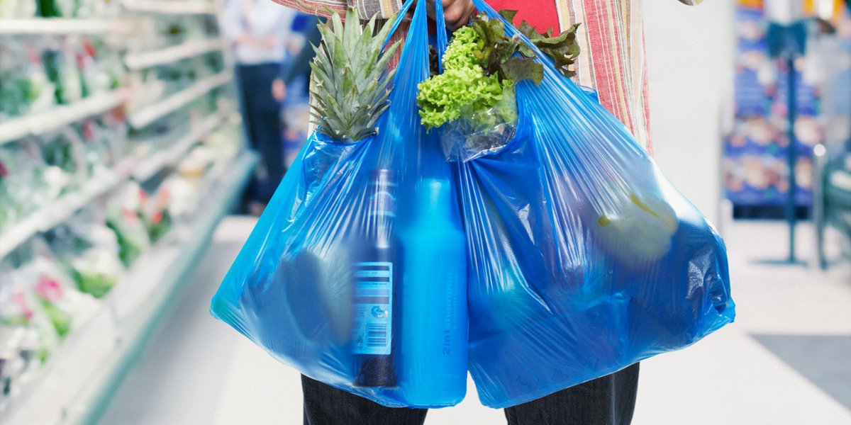 An image of plastic shopping bags full of groceries