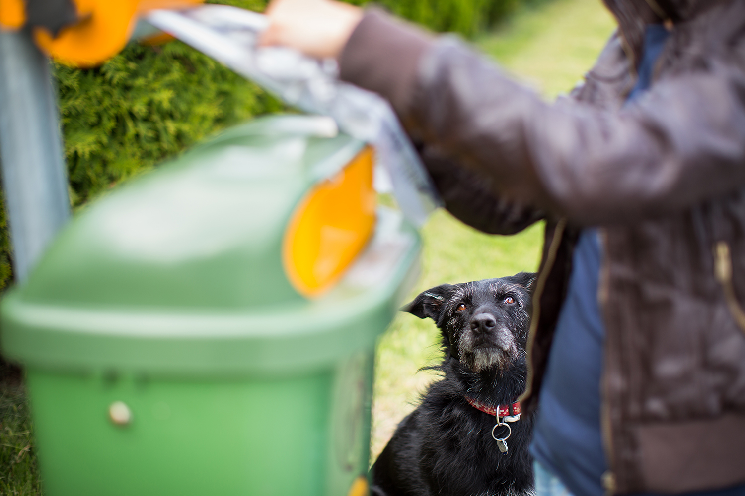 An image of a person putting bagged dog poo in the bin