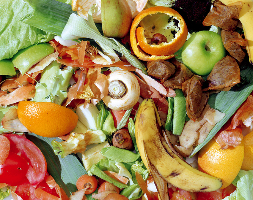 An image of food waste