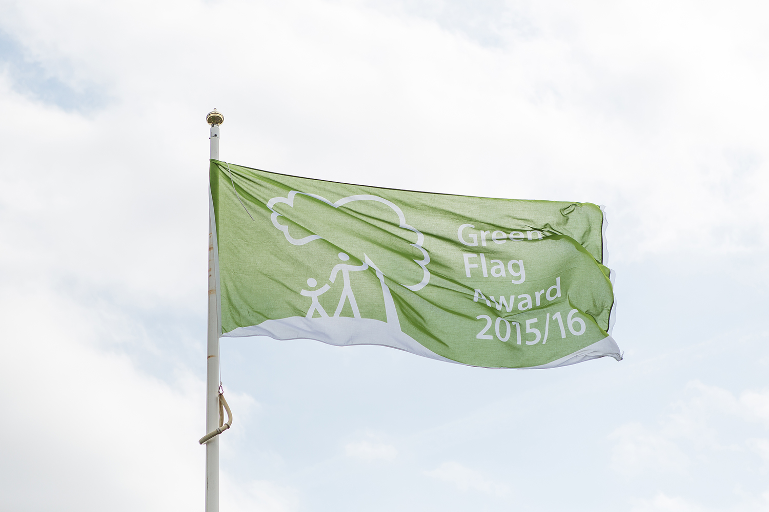 An image of a Green Flag