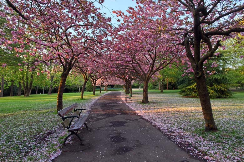 Saltwell Park, Gateshead Council