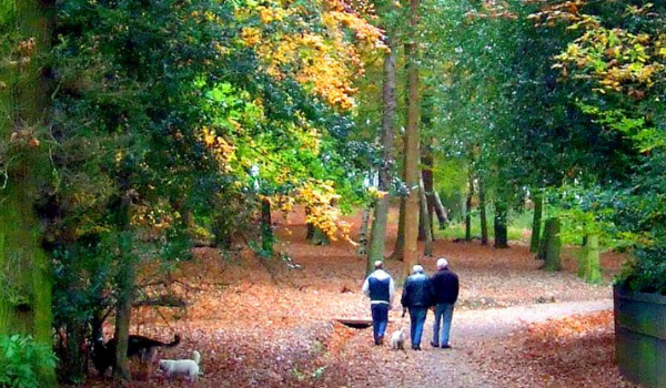 Warley Woods (Sandwell), Warley Woods Community Trust