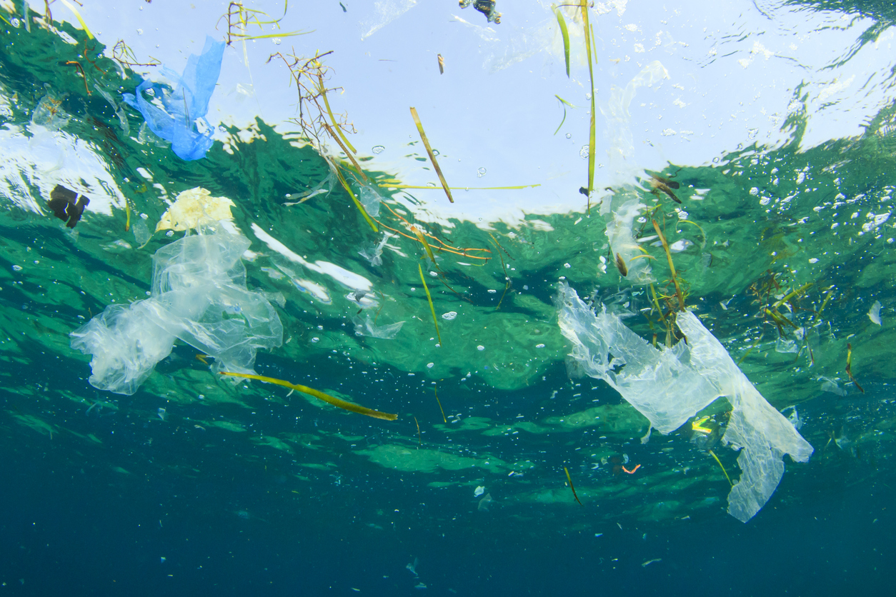 80% of ocean plastics originates from land End of the line for single-use plastic?