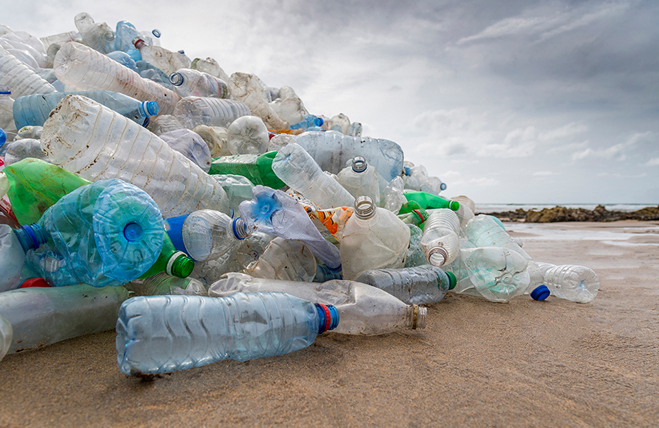 An image of plastic bottles littered on a beach