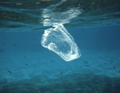 End of the line for single-use plastic?