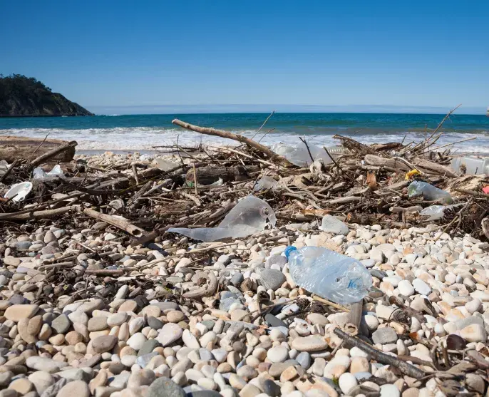 Plastic pollution on a pebbly beach