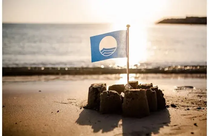 Blue flag in sandcastle.
