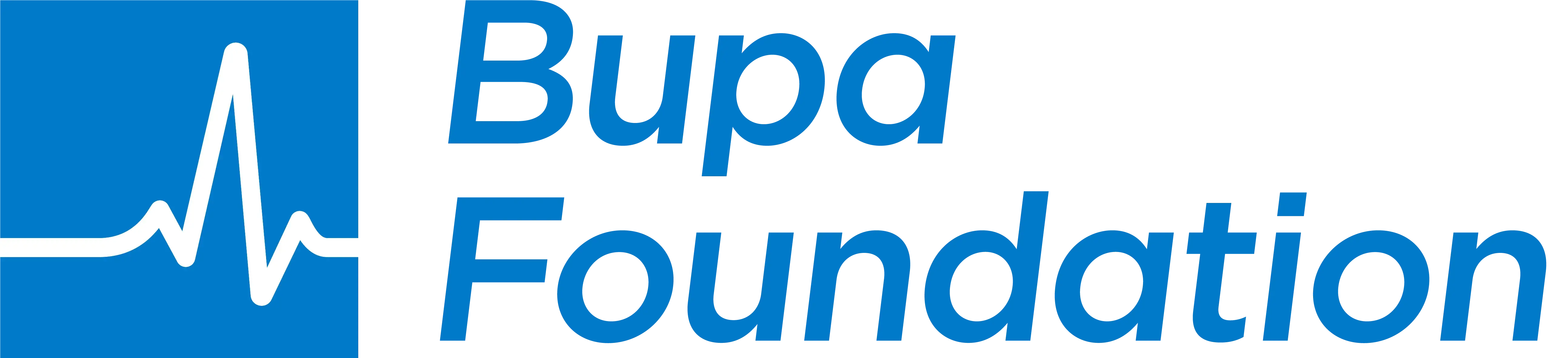 Bupa Foundation logo