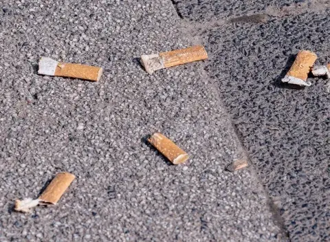 Cigarettes littered on pavement