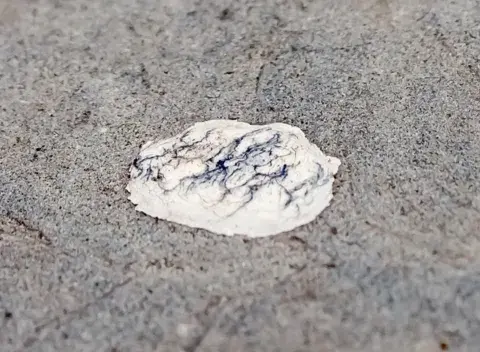 Chewing gum stuck on a pavement