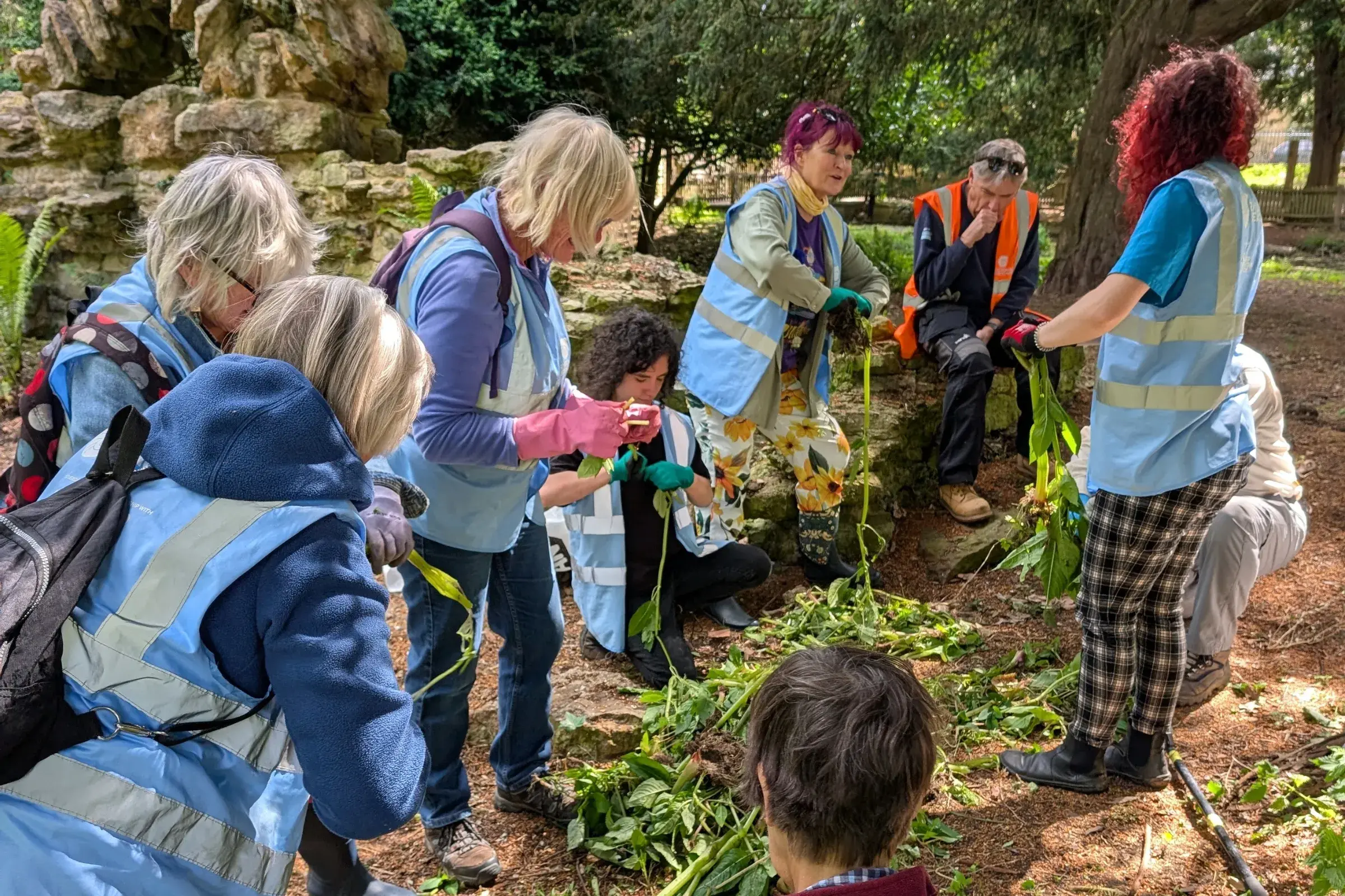 One of our RiverCare & BeachCare groups removing invasive plant species
