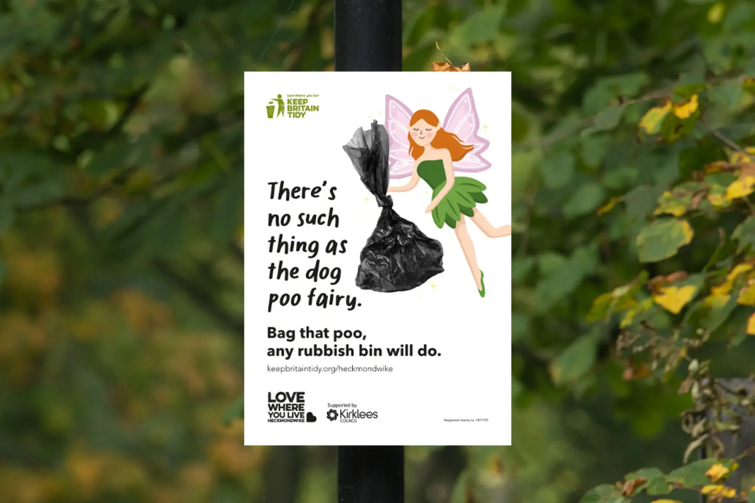 There's No Such Thing as The Dog Poo Fairy dog fouling behaviour change intervention sign