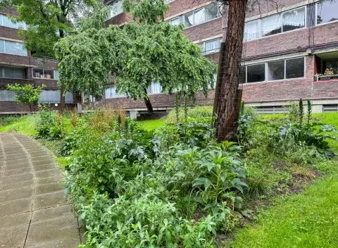 A green space with trees and plants within an urban housing spaces