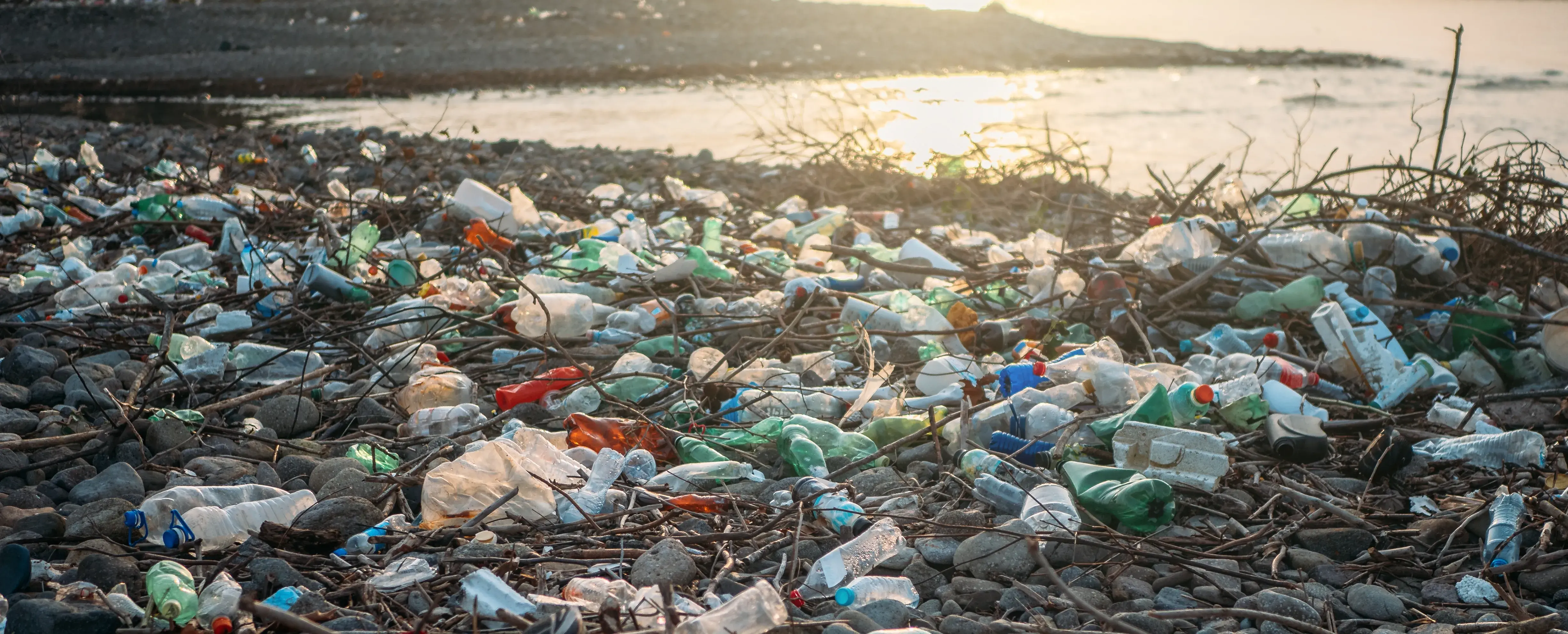 Bottles on a beach
