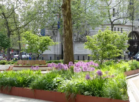 The Strand GFA winner